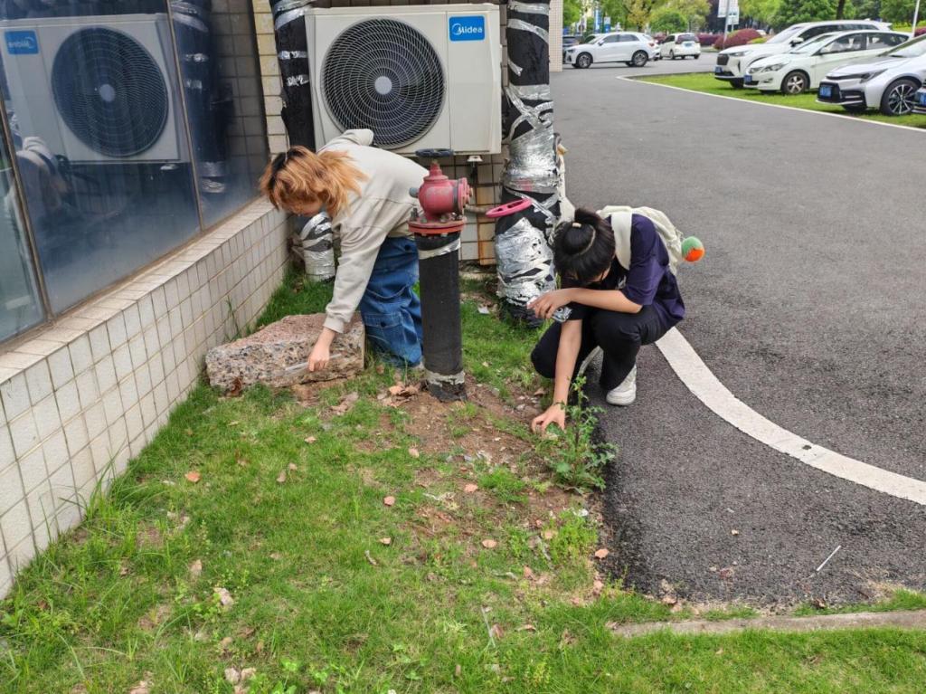 英国365上市公司开展石韵艺境美化劳动教育实践